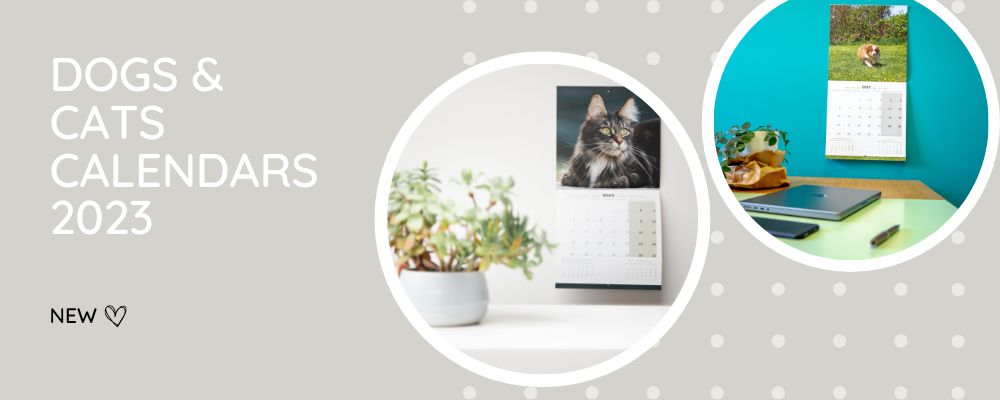 dogs and cats calendars 2023